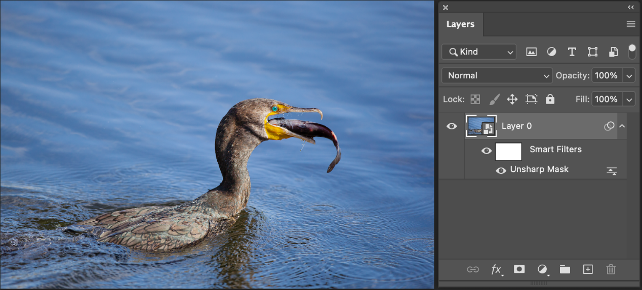 Sharpening details makes objects stand out in nature photos. Use layers to edit without destroying the original image, and use the Passivation Mask filter to highlight details. 